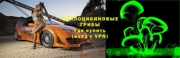 молекула духа Надым
