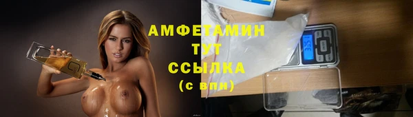 молекула духа Надым