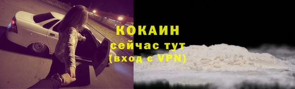 молекула духа Надым