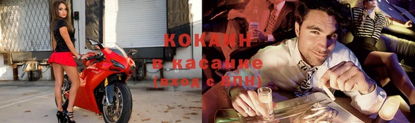 гашик Анжеро-Судженск
