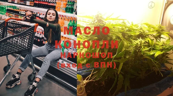 молекула духа Надым